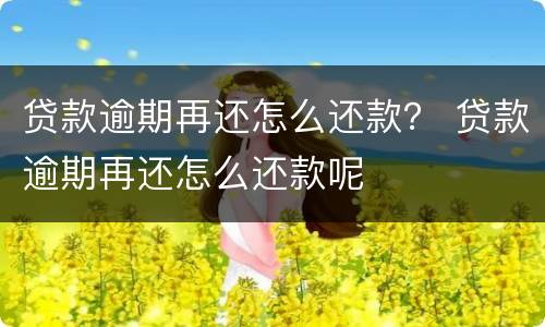 贷款逾期再还怎么还款？ 贷款逾期再还怎么还款呢