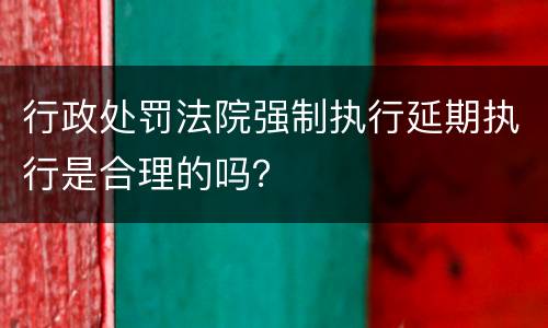 行政处罚法院强制执行延期执行是合理的吗？