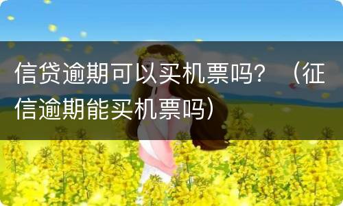 信贷逾期可以买机票吗？（征信逾期能买机票吗）