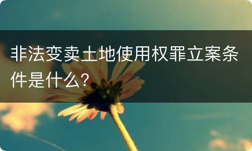 非法变卖土地使用权罪立案条件是什么？
