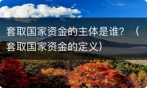 套取国家资金的主体是谁？（套取国家资金的定义）