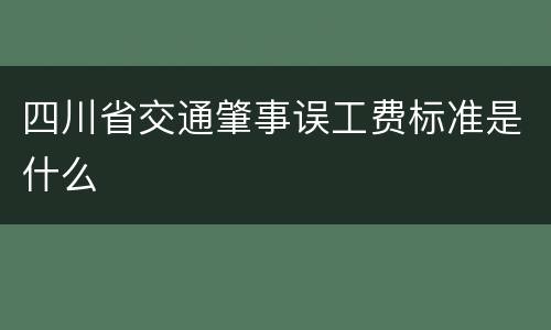 四川省交通肇事误工费标准是什么