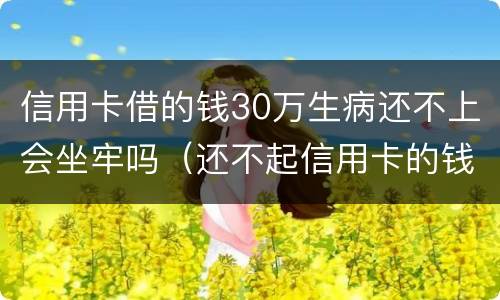信用卡借的钱30万生病还不上会坐牢吗（还不起信用卡的钱会坐牢吗）