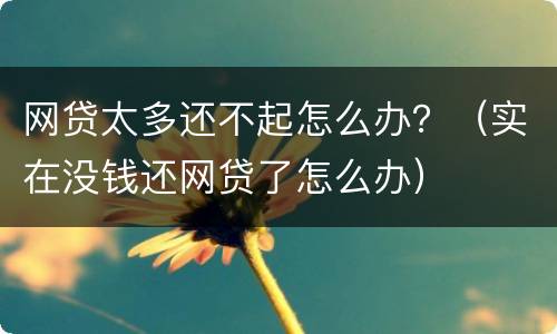 网贷太多还不起怎么办？（实在没钱还网贷了怎么办）