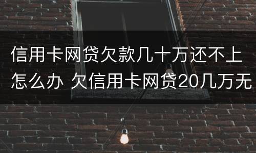 信用卡网贷欠款几十万还不上怎么办 欠信用卡网贷20几万无力偿还怎么办?