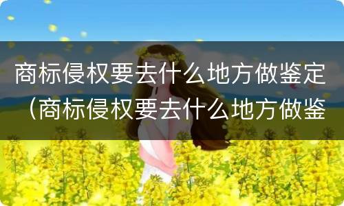 商标侵权要去什么地方做鉴定（商标侵权要去什么地方做鉴定呢）