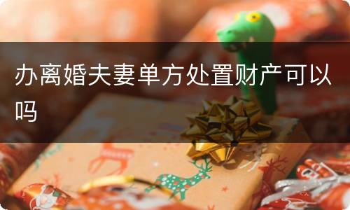 办离婚夫妻单方处置财产可以吗