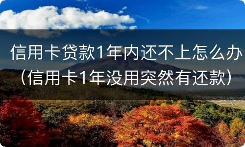 信用卡贷款1年内还不上怎么办（信用卡1年没用突然有还款）