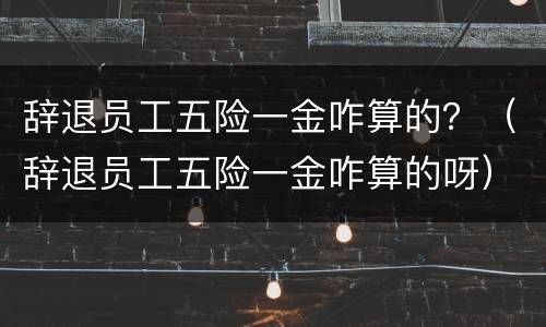 辞退员工五险一金咋算的？（辞退员工五险一金咋算的呀）