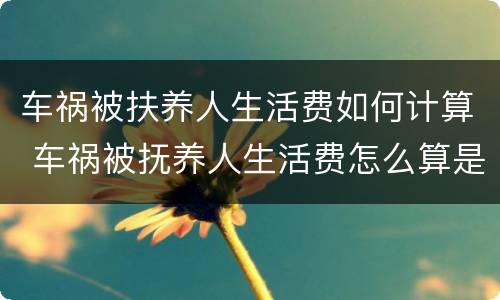 车祸被扶养人生活费如何计算 车祸被抚养人生活费怎么算是按鉴定时间赔偿吗?