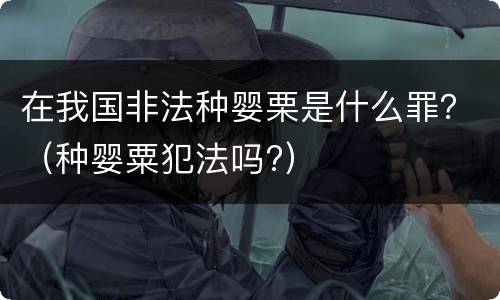 在我国非法种婴栗是什么罪？（种婴粟犯法吗?）