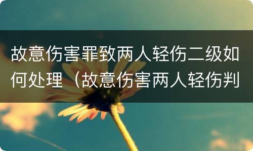 故意伤害罪致两人轻伤二级如何处理（故意伤害两人轻伤判多久）