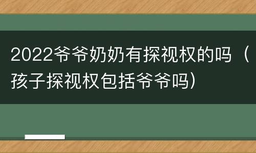 2022爷爷奶奶有探视权的吗（孩子探视权包括爷爷吗）