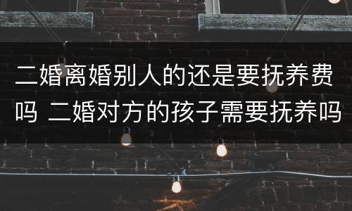 二婚离婚别人的还是要抚养费吗 二婚对方的孩子需要抚养吗 二婚离婚别人的还是要抚养费吗 二婚对方的孩子需要抚养吗