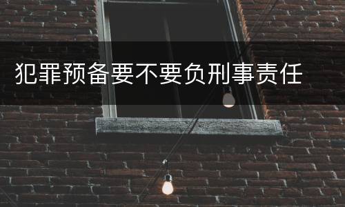 犯罪预备要不要负刑事责任