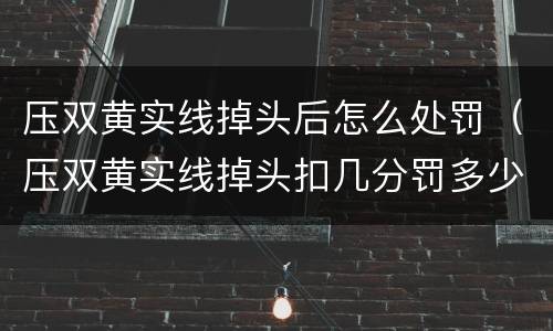 压双黄实线掉头后怎么处罚（压双黄实线掉头扣几分罚多少钱）