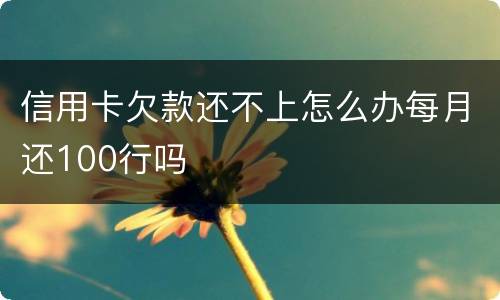 信用卡欠款还不上怎么办每月还100行吗