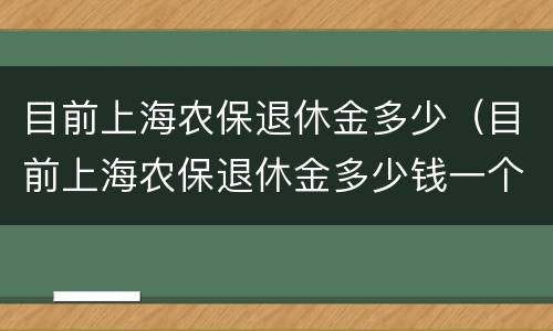 目前上海农保退休金多少（目前上海农保退休金多少钱一个月）
