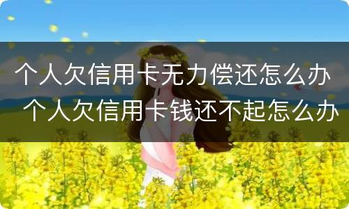 个人欠信用卡无力偿还怎么办 个人欠信用卡钱还不起怎么办