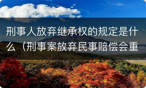 刑事人放弃继承权的规定是什么（刑事案放弃民事赔偿会重判吗）