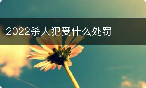 2022杀人犯受什么处罚