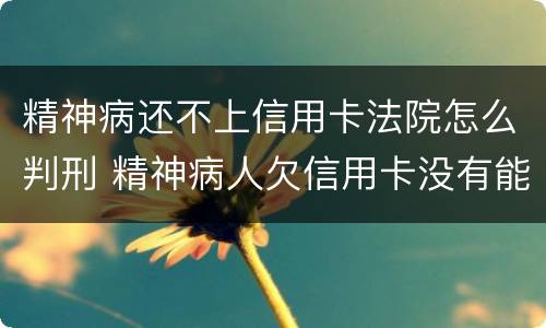 精神病还不上信用卡法院怎么判刑 精神病人欠信用卡没有能力还怎么判?