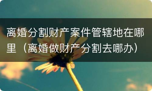 离婚分割财产案件管辖地在哪里（离婚做财产分割去哪办）