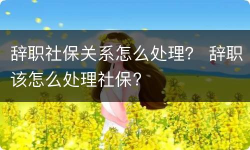 辞职社保关系怎么处理？ 辞职该怎么处理社保?