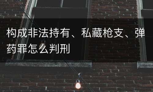 构成非法持有、私藏枪支、弹药罪怎么判刑