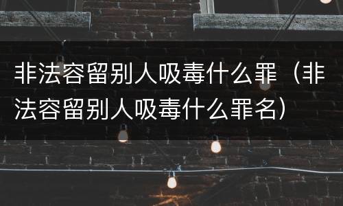 非法容留别人吸毒什么罪（非法容留别人吸毒什么罪名）