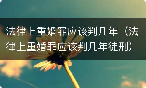 法律上重婚罪应该判几年（法律上重婚罪应该判几年徒刑）