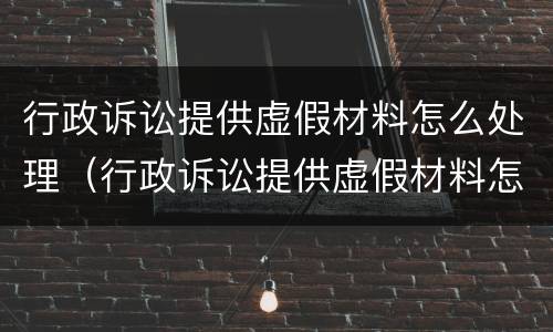 行政诉讼提供虚假材料怎么处理（行政诉讼提供虚假材料怎么处理的）