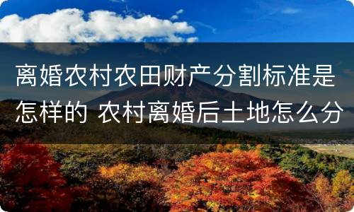 离婚农村农田财产分割标准是怎样的 农村离婚后土地怎么分配