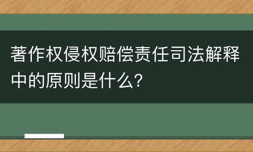 著作权侵权赔偿责任司法解释中的原则是什么？