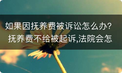 如果因抚养费被诉讼怎么办？ 抚养费不给被起诉,法院会怎么处理