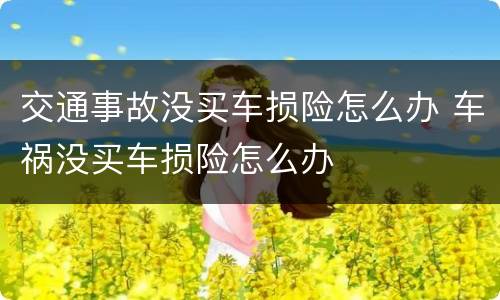 交通事故没买车损险怎么办 车祸没买车损险怎么办