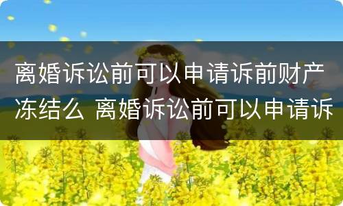 离婚诉讼前可以申请诉前财产冻结么 离婚诉讼前可以申请诉前财产冻结么吗