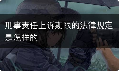 刑事责任上诉期限的法律规定是怎样的