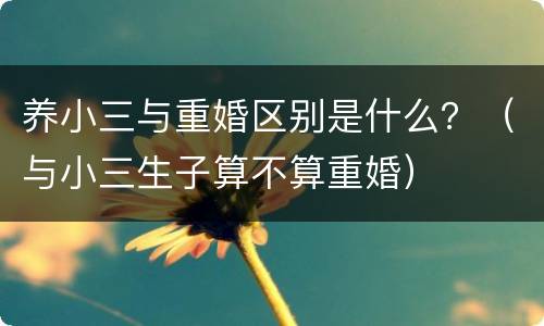养小三与重婚区别是什么？（与小三生子算不算重婚）