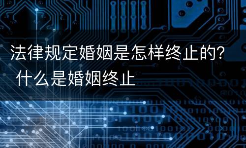 法律规定婚姻是怎样终止的？ 什么是婚姻终止