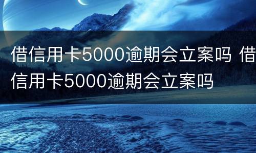 借信用卡5000逾期会立案吗 借信用卡5000逾期会立案吗