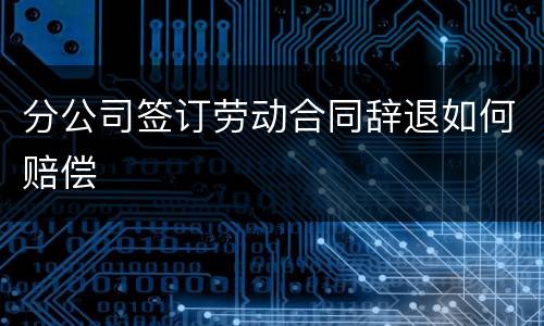 分公司签订劳动合同辞退如何赔偿