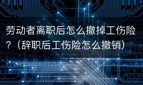劳动者离职后怎么撤掉工伤险?(辞职后工伤险怎么撤销) 劳动者离职后怎么撤掉工伤险?(辞职后工伤险怎么撤销)