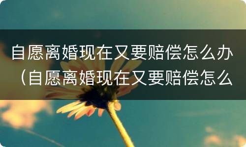 自愿离婚现在又要赔偿怎么办（自愿离婚现在又要赔偿怎么办呢）