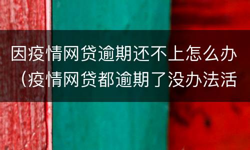 因疫情网贷逾期还不上怎么办（疫情网贷都逾期了没办法活了）