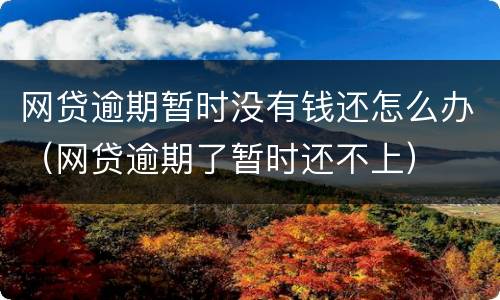 网贷逾期暂时没有钱还怎么办（网贷逾期了暂时还不上）