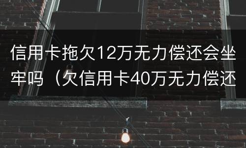 信用卡拖欠12万无力偿还会坐牢吗（欠信用卡40万无力偿还避免牢狱）