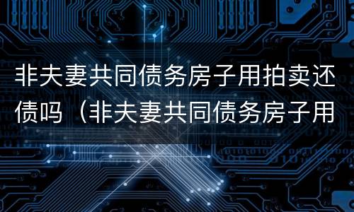 非夫妻共同债务房子用拍卖还债吗（非夫妻共同债务房子用拍卖还债吗合法吗）