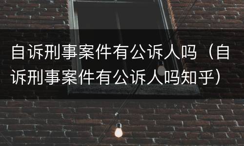 自诉刑事案件有公诉人吗（自诉刑事案件有公诉人吗知乎）