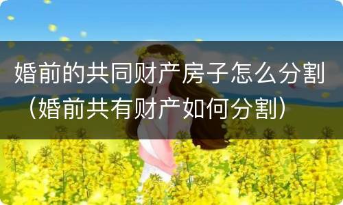婚前的共同财产房子怎么分割（婚前共有财产如何分割）